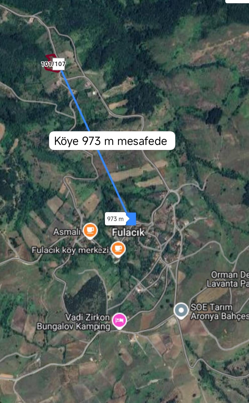 Fotoğraf